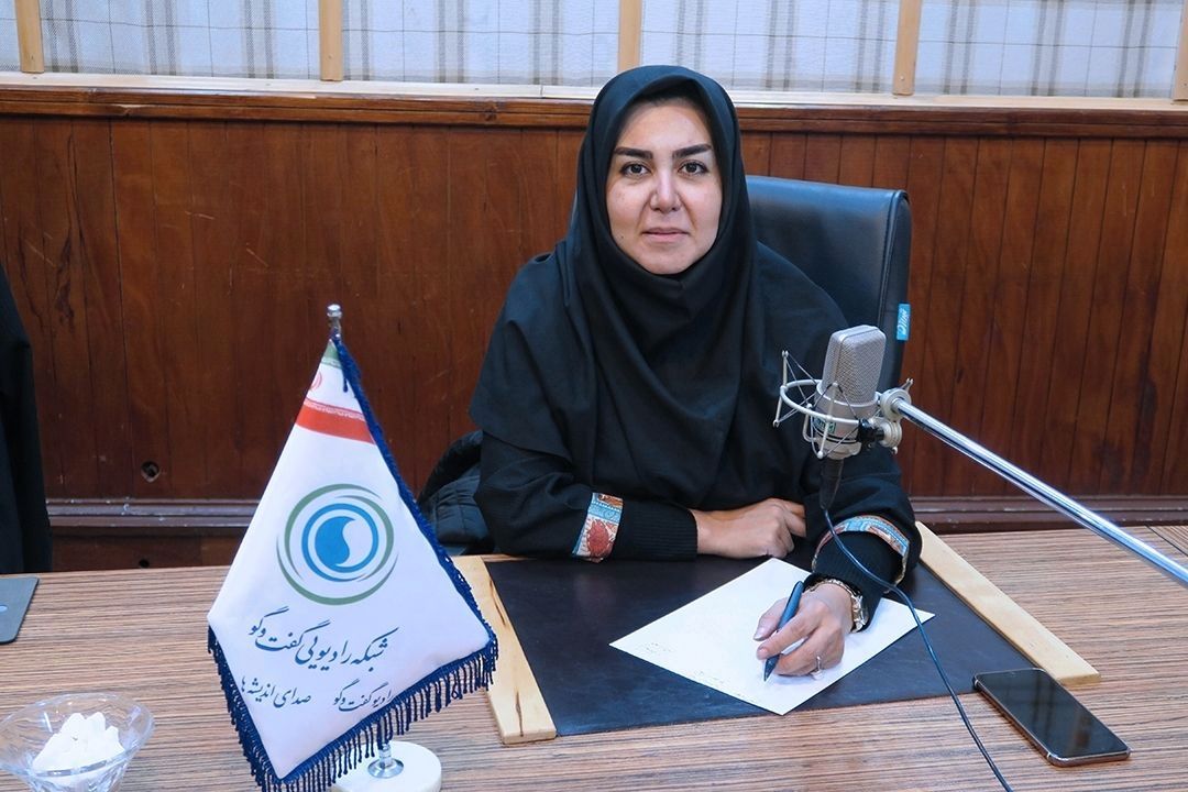 «تهران » بیانگر دغدغه مندی اسرائیل در برابر ایران است