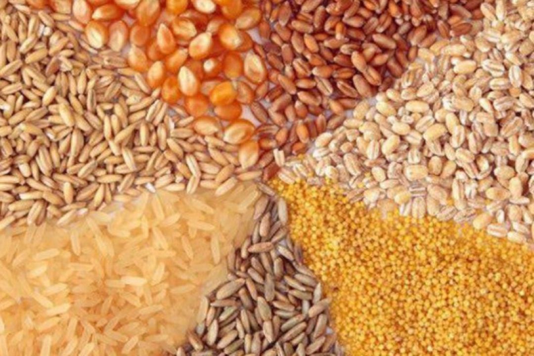 400  واردكننده نهاده های دام و طیور در كشور 
