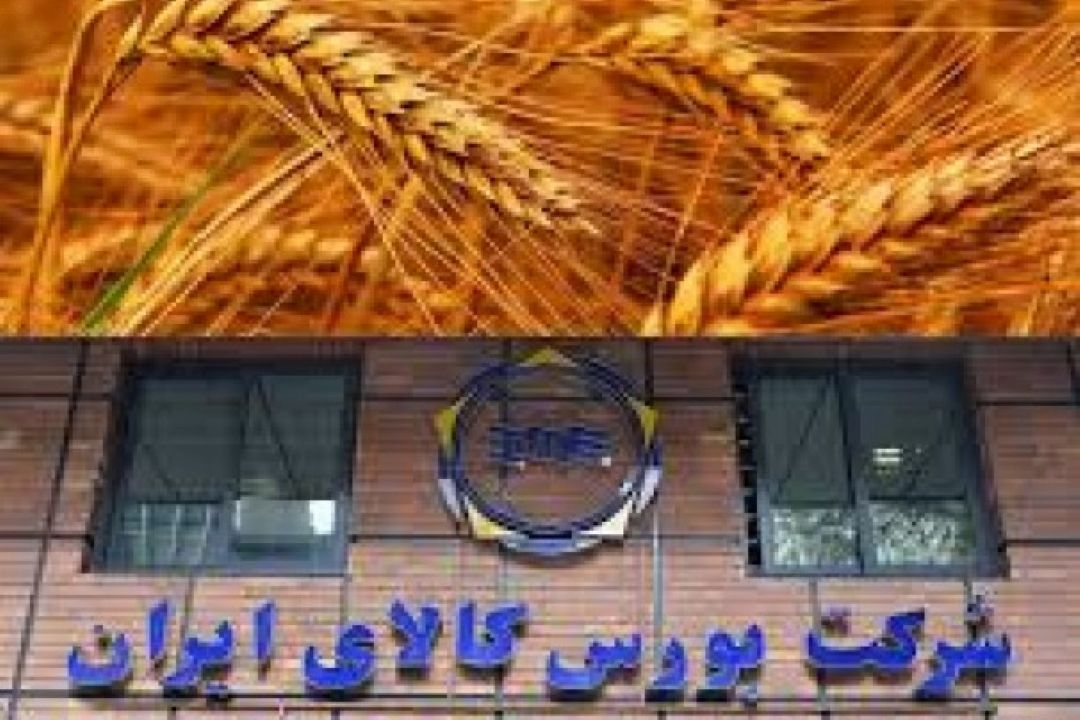 اعلام رضایت كشاورزان از اجرای قیمت تضمینی 