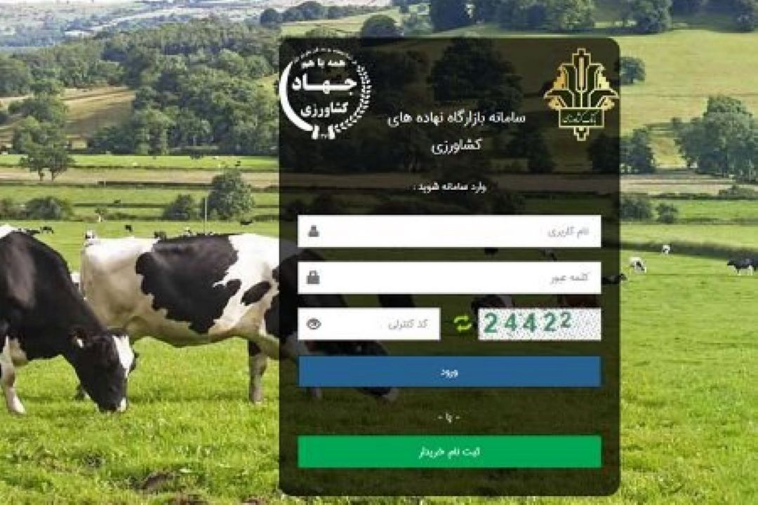 سامانه بازارگاه از نظر طراحی و اجرا دچار مشكل است