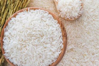 ردپای نوبخت در افزایش قیمت برنج/ در گمركات برنج رسوب كرده است