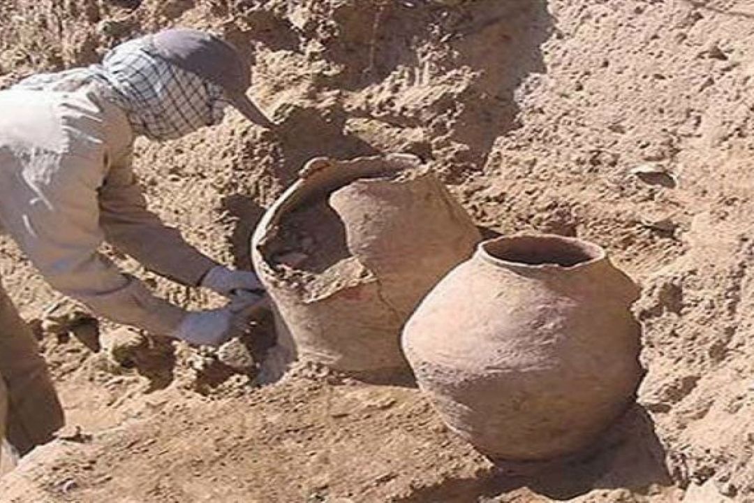 جویندگان گنج؛ مجرمان فرهنگی