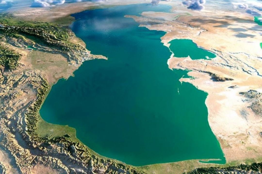 نگرانی از ورود پستانداران خاص همراه با باكتری به ایران