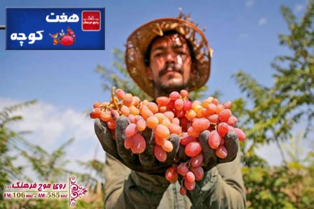  جشن انگور در فرهنگ مردم در رادیو فرهنگ