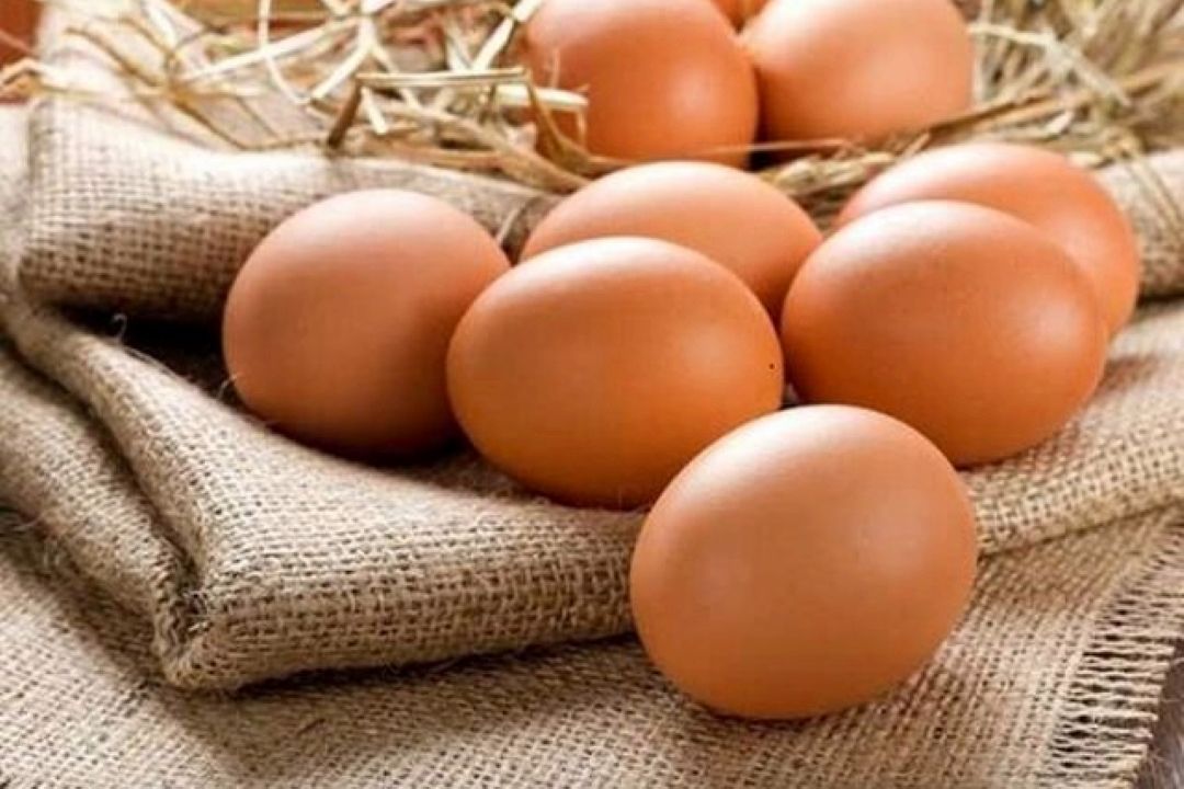 مصرف تخم مرغ در ایران نصف میانگین جهانی است