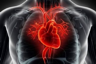 حیات انسان در گرو سلامت قلب است