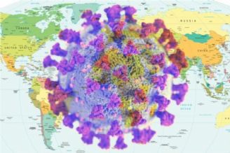 Covid-19 infects above 35.4 million across globe