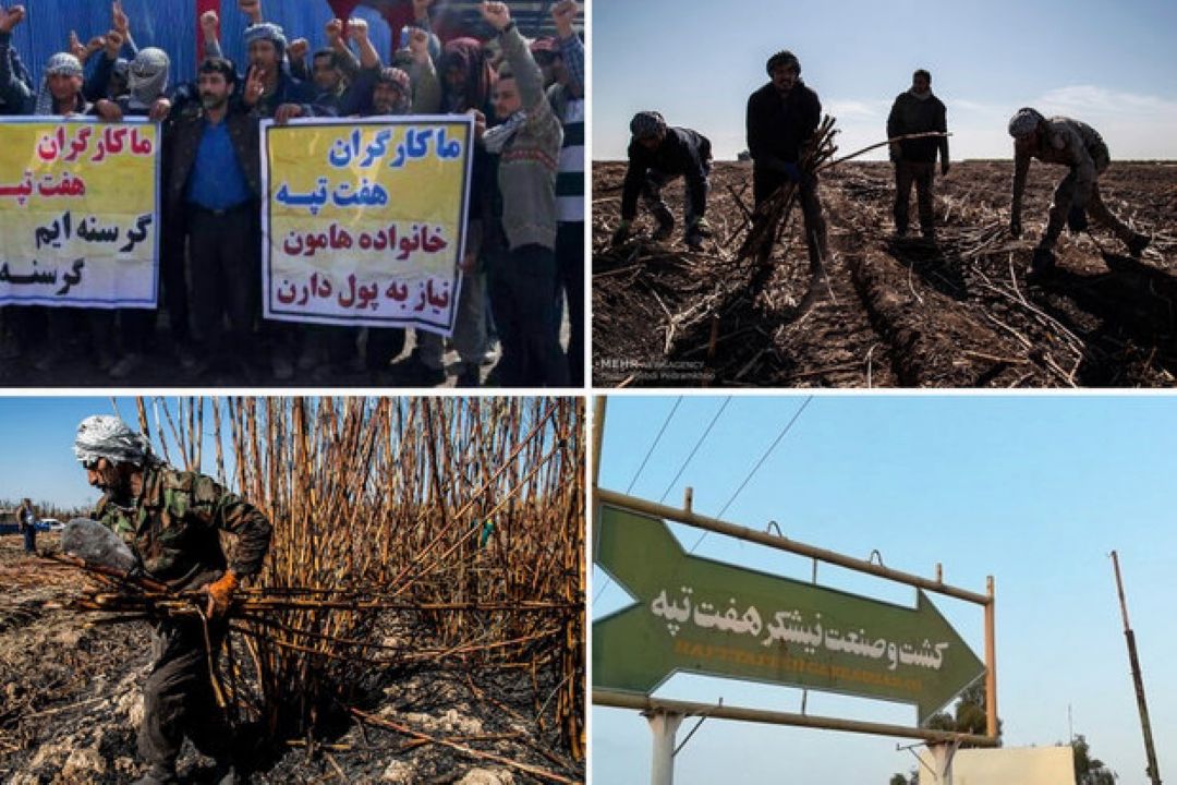 كلاف سردرگم نیشكر هفت‌تپه/ خلع ید مالك كماكان در ابهام!