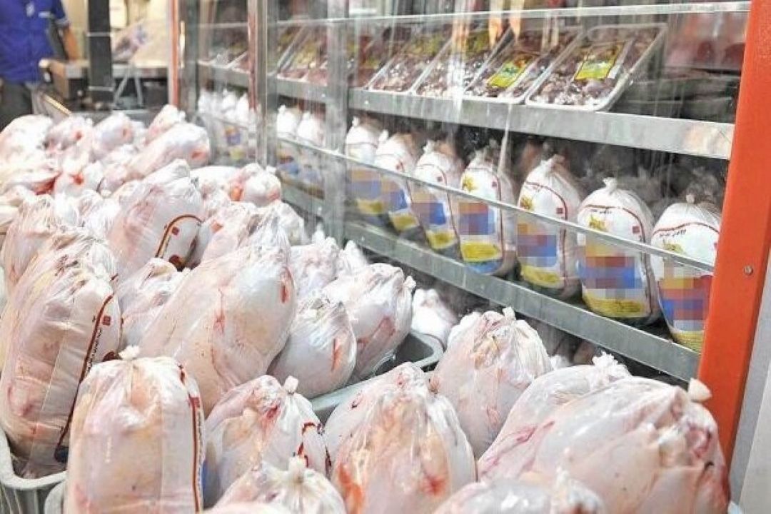 امسال دو مرحله نرخ مصوب مرغ بازنگری و اصلاح شد/ روند كاهش قیمت مرغ ادامه دارد
