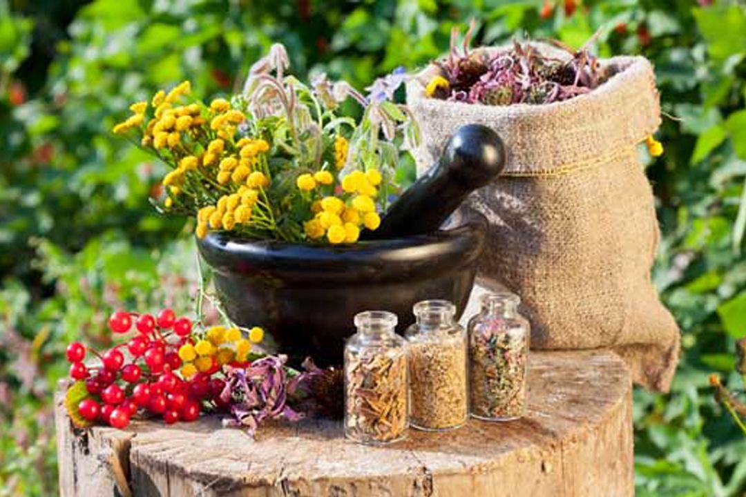 آشنایی با طب سنتی در"چراغ" 