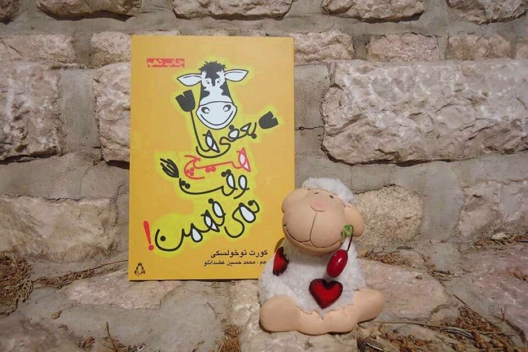 كتاب طنز بعضی‌ها هیچ‌وقت نمی‌فهمن!