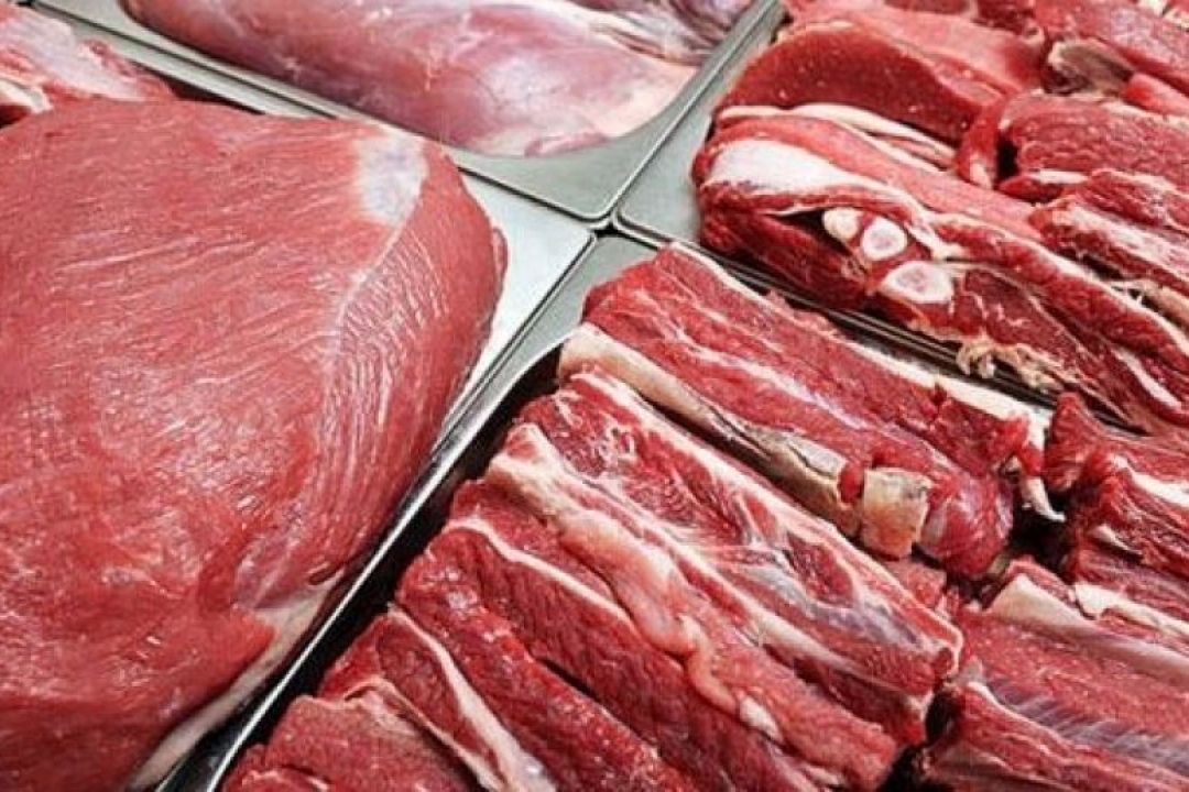 بازگشت ثبات به بازار گوشت قرمز