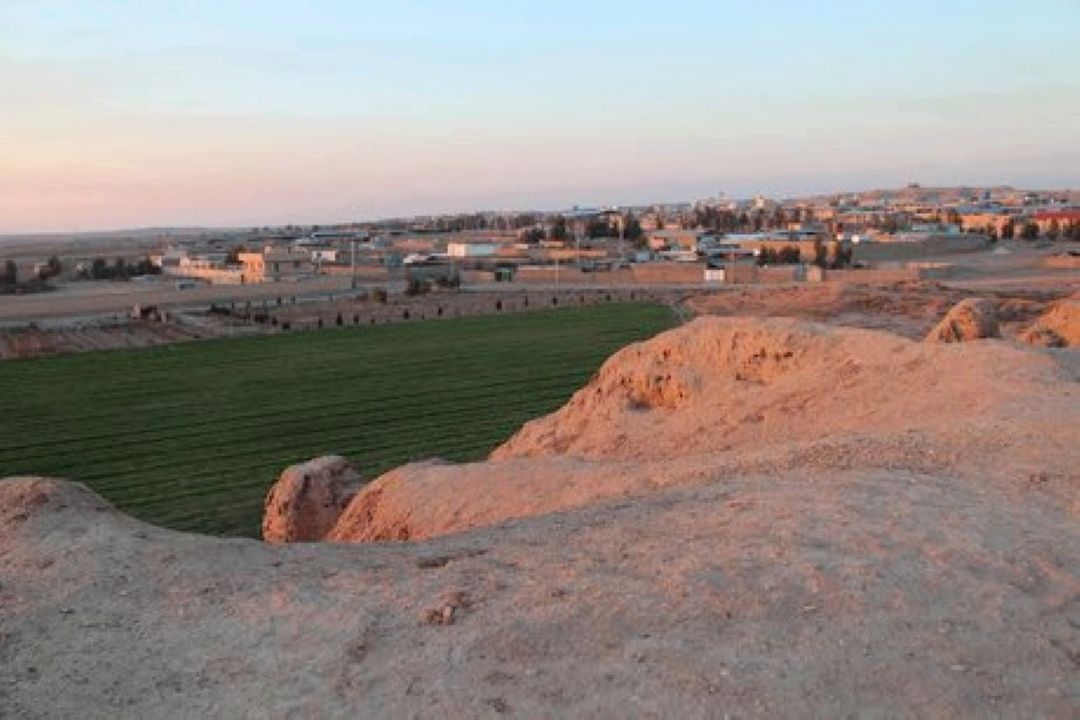 كرونا در روستای عشق آباد تامین علوفه را دچار مشكل كرده است