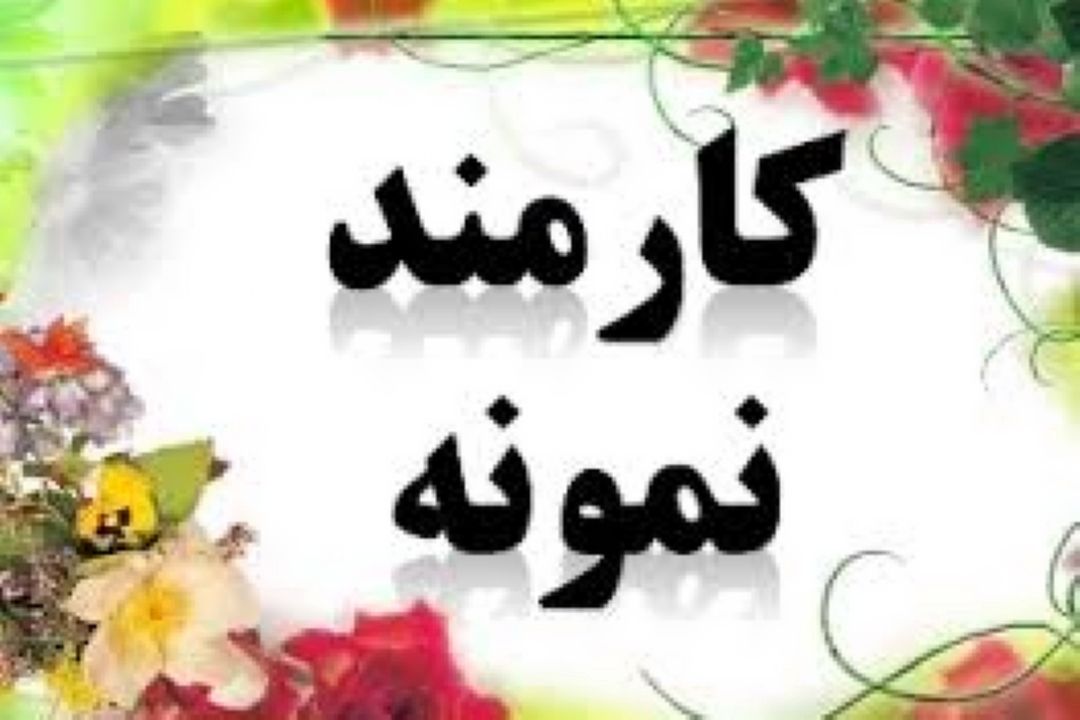 كارمند نمونه 
