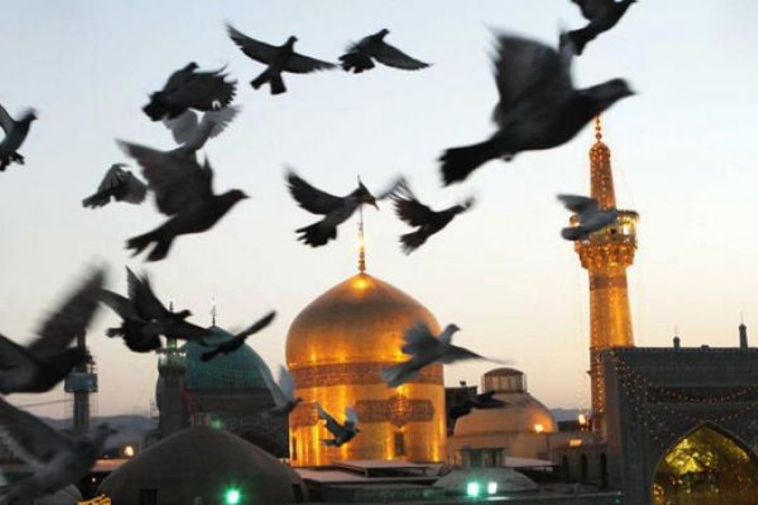 طعم زیارت از راه دور از طریق فضای مجازی