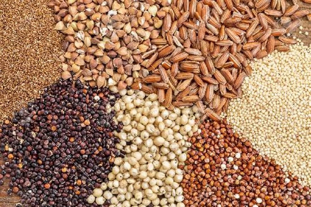 واردات سالانه 12 میلیون تن انواع نهاده به كشور/ كوتاهی شركت های بیمه در جبران خسارت به واردكنندگان
