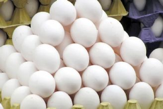 قیمت هر كیلو تخم‌مرغ بیش 13 هزار تومان است