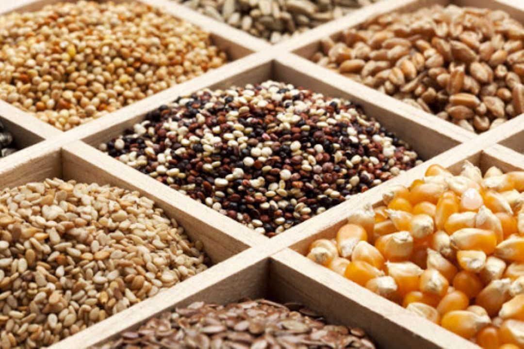 1.2 درصد مصرف بذر گواهی شده در كشورمربوط به بذرهای وارداتی است