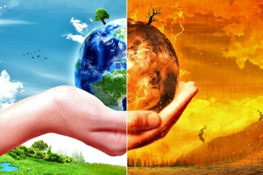 گرم شدن كره زمین و ظهور عفونت‌های قارچی نوپدید