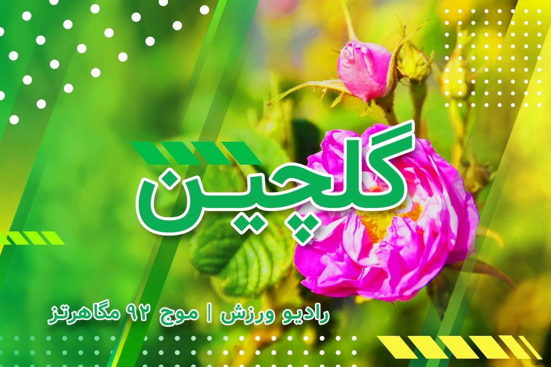 گلچین