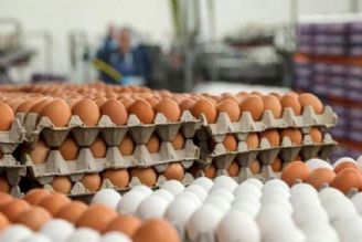 صف خرید تخم‌مرغ در هیچ یك از میادین تره‌بار تشكیل نمی‌شود