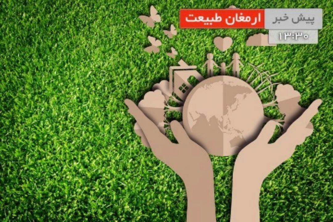 شرایط تولید ماهیان سردابی