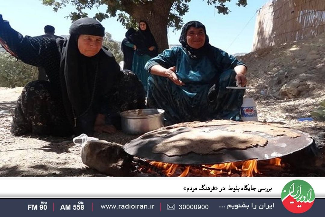  بررسی جایگاه بلوط  در «فرهنگ مردم»