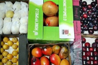 خطر آلودگی میوه‌های وارداتی قاچاق