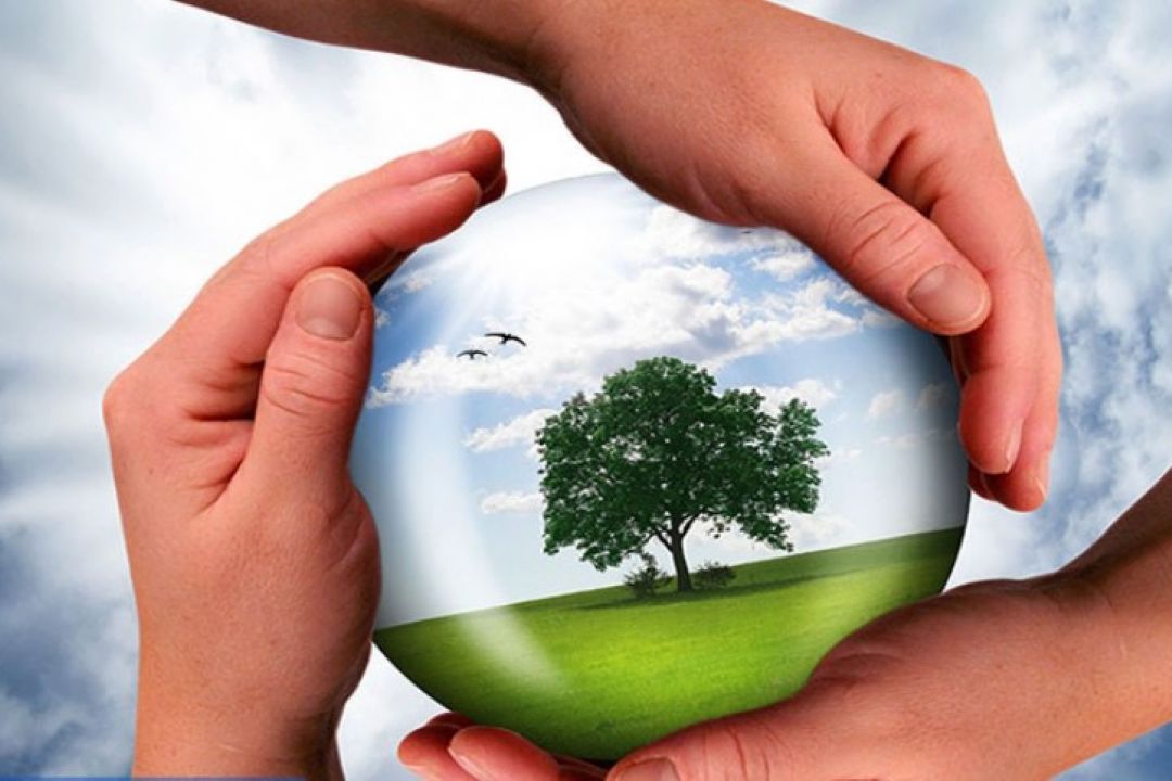  راهكار خلاقانه برای حفظ محیط زیست