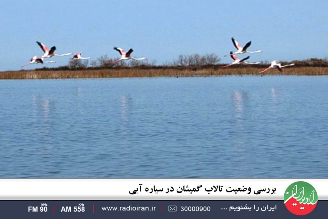 بررسی وضعیت تالاب گمیشان در سیاره آبی