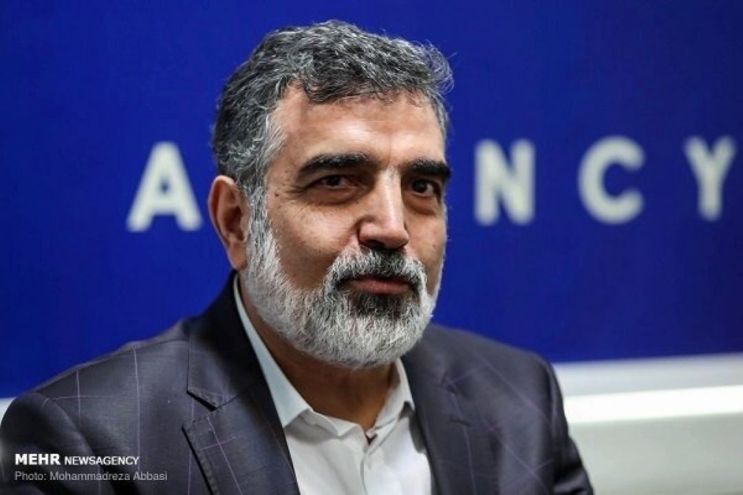 كمالوندی: بازرسی‌های آژانس از ایران حدود 30 درصد كاهش می‌یابد