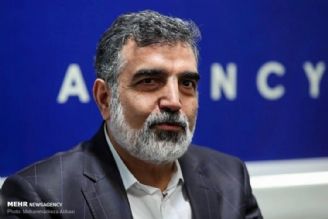 كمالوندی: بازرسی‌های آژانس از ایران حدود 30 درصد كاهش می‌یابد