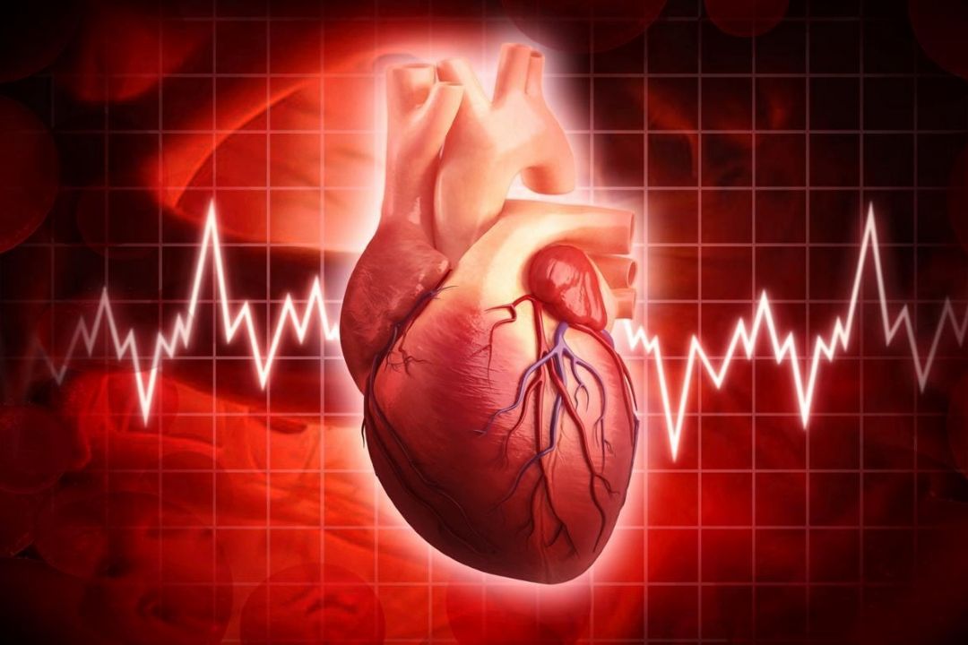 الكل، دشمن قلب شماست/ مصرف الكل، ضربان طبیعی قلب را به هم می زند