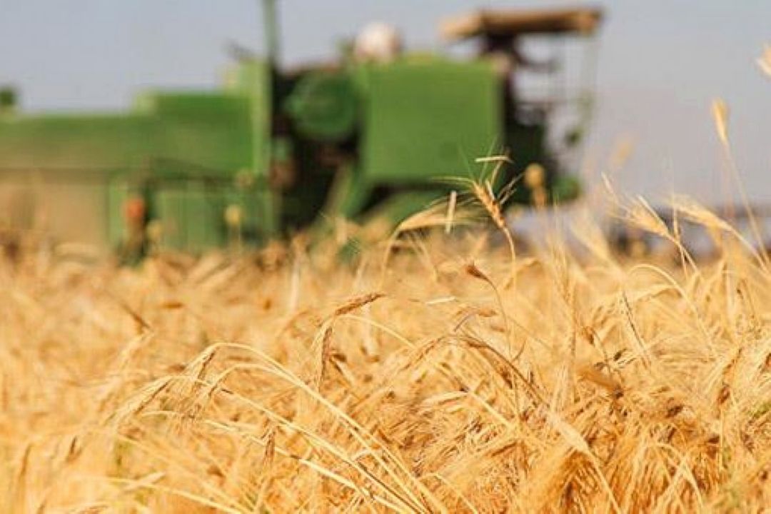 اختصاص اعتبار 3 هزار میلیاردی برای تقویت صندوق بیمه محصولات كشاورزی