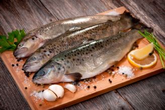 میگو و ماهی نسبت به دیگر مواد غذایی به صرفه ترند