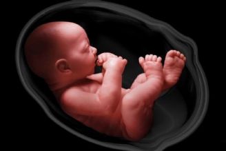 جنین از چه زمانی حیات انسانی پیدا می‌كند؟