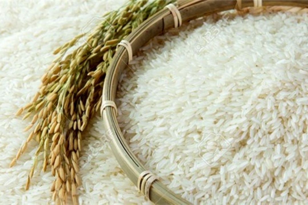  رقم جدید برنج هسته‌ای معرفی شد