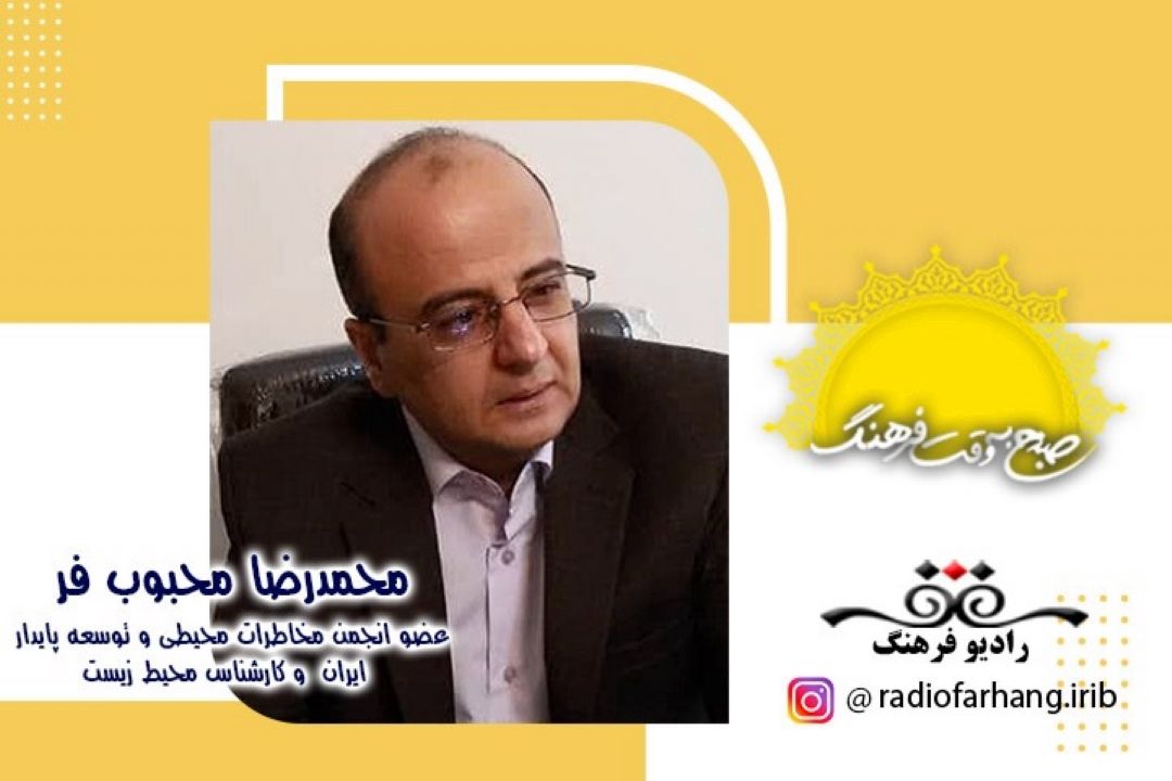 دانه دانه می كاریم، هزار هزار قطع می كنند!!!