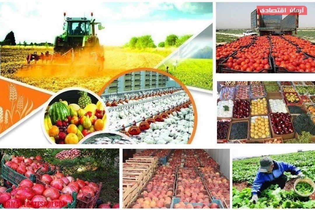 نابسامانی در تولید و عرضه محصولات كشاورزی