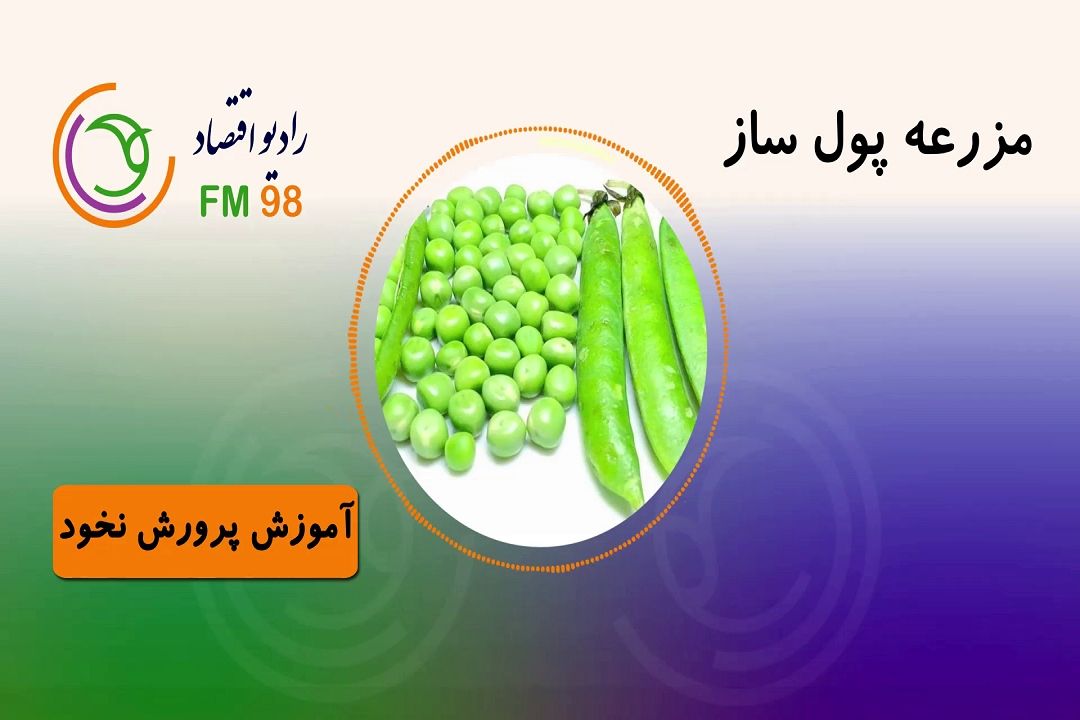 مزرعه پولساز