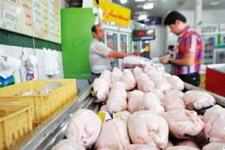 مدیریتی در بازار مرغ توانایی پاسخگویی شرایط موجود را ندارد