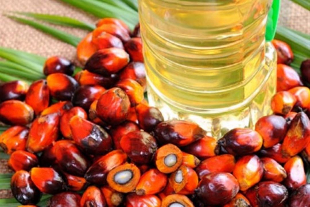 مصرف كمتر از یك درصد روغن پالم دنیا در ایران