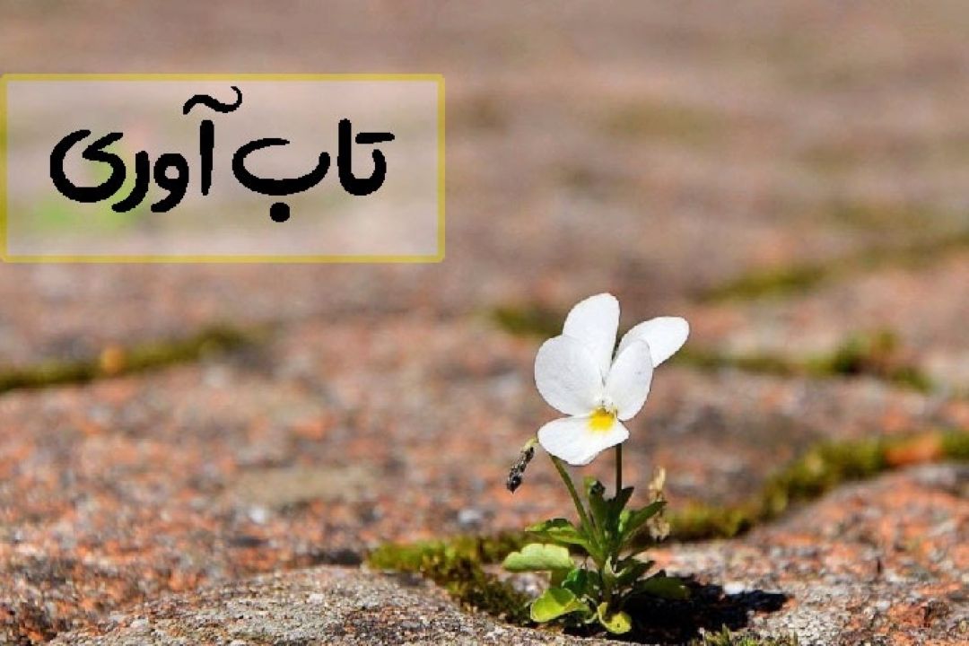 تاب‌آوری در فرهنگ ایرانی