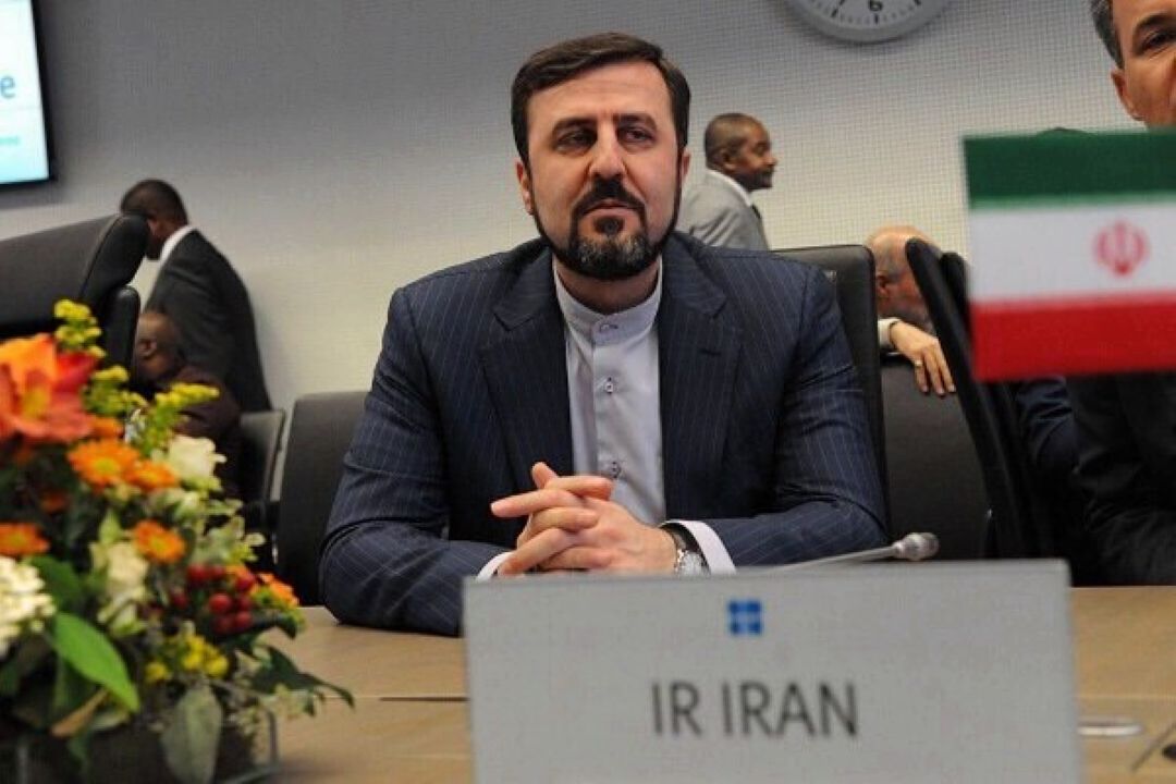 آژانس باید از هرگونه دستور كار سیاسی فاصله بگیرد