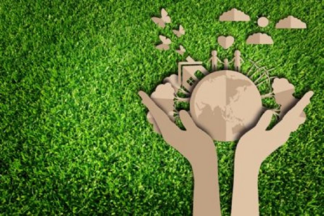 اهمیت الگوی كشت در تولید سبزی و صیفی