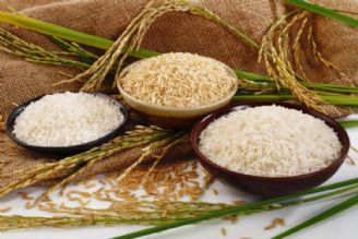 اشتباه رایج ایرانی‌ها در مصرف برنج/ با برنج كمتر هم می‌توان تغذیه كرد