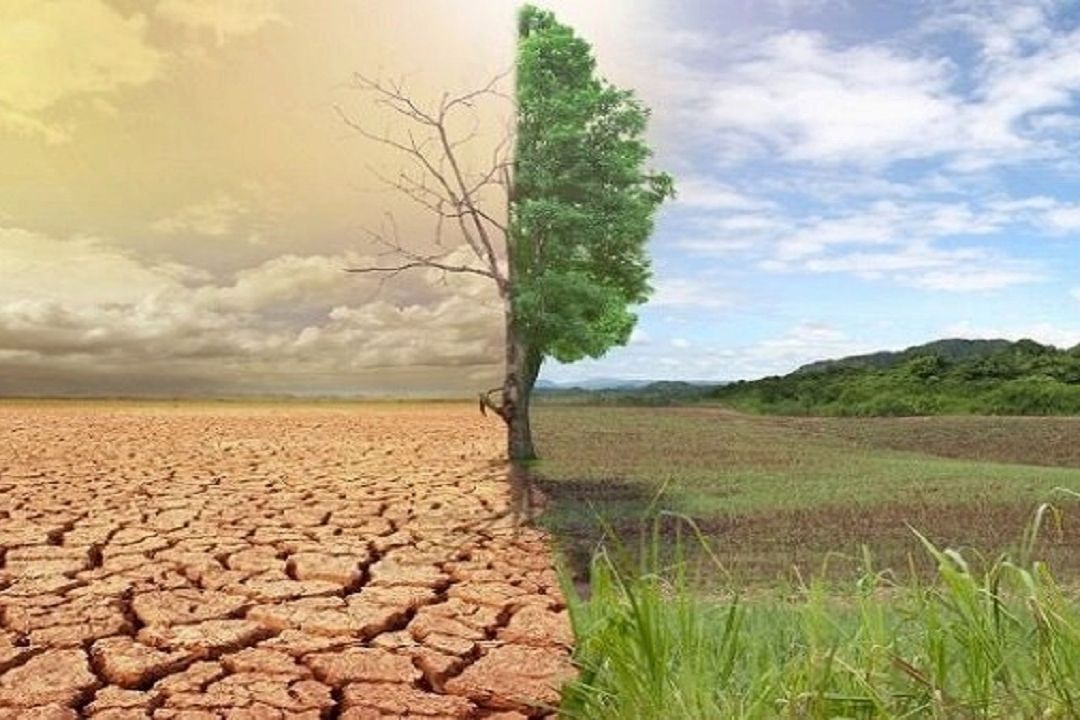 بیابان زدایی و تولد دوباره خاك