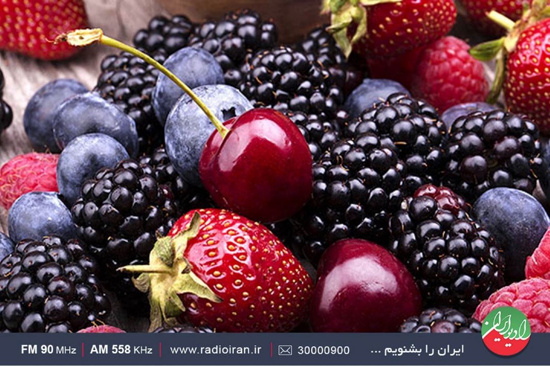 23 و نیم میلیون تن محصولات باغبانی در كشور تولید شده است