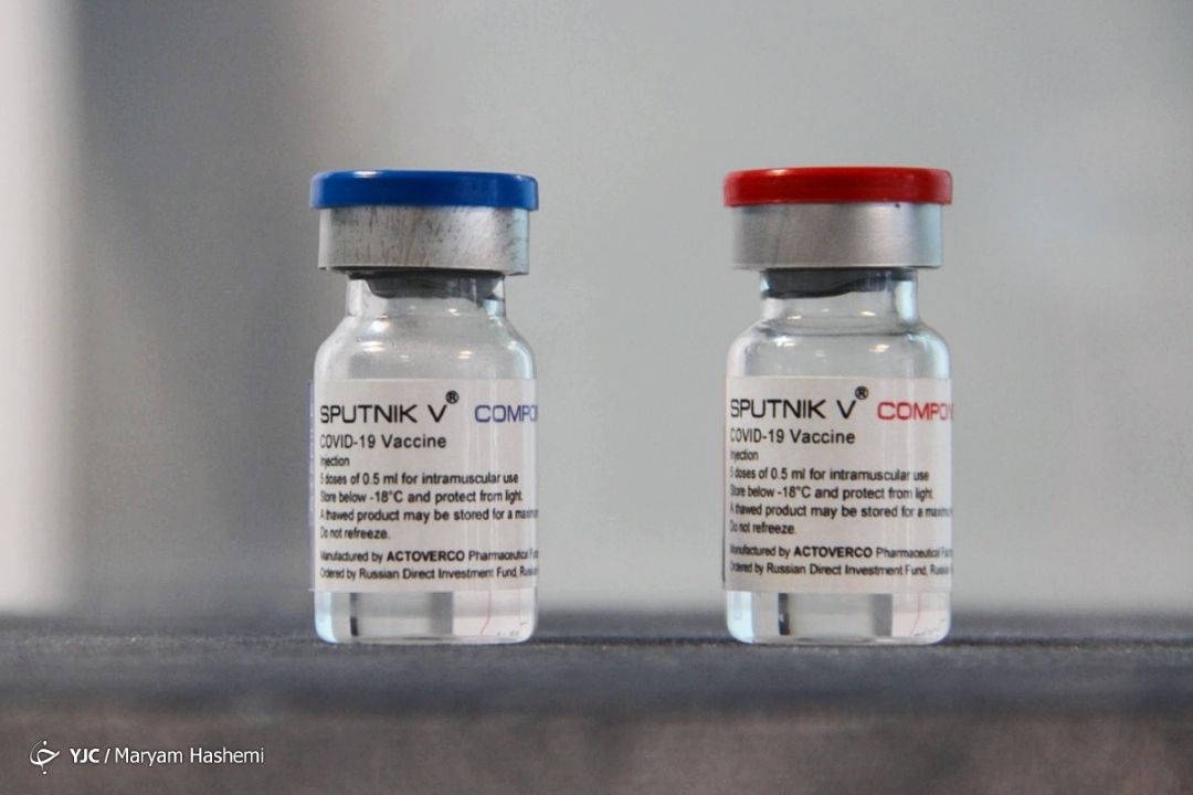 Iran to become exporter of COVID-19 vaccine: PII chief