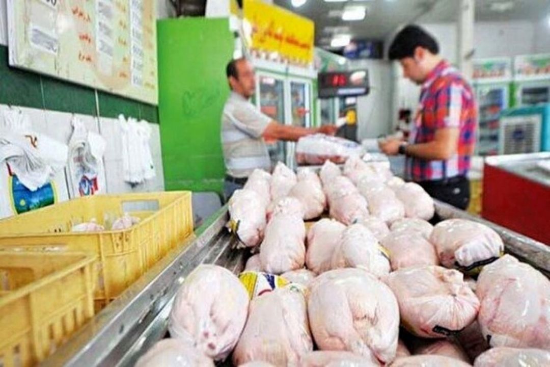 دبیر كانون مرغ‌داران گوشتی كشور علت گرانی مرغ را قوانین دستوری مسئولان دانست.
